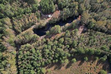 TBD Sand Plant Rd, Nichols, SC 29581 - photo 6