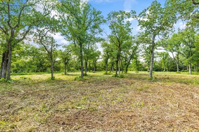 4201 Cr 801, Joshua, TX 76058 - photo 5