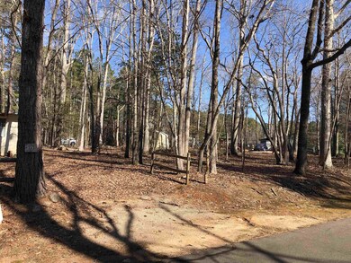 111 Omaha Dr, Louisburg, NC 27549 - photo 7