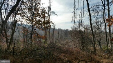 0 Whiskey Still Rd unit VAWR139042, Linden, VA 22642 - photo 7