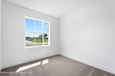 9005 Players Dr, Weeki Wachee, FL 34613 - photo 7