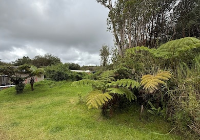 0 Hulu St, Mountain View, HI 96771 - photo 5