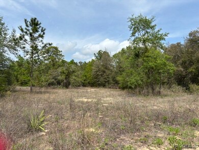 5831 W Dunnellon Rd, Dunnellon, FL 34433 - photo 4