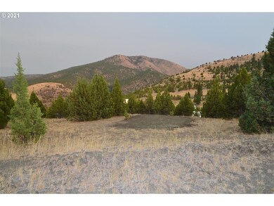 0 Elk View Dr, Canyon City, OR 97820 - photo 2