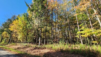 0 Wagner Rd unit 25650308, Dansville, NY 14437 - photo 3