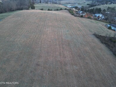 0 Hodge Rd unit 1254129, Bean Station, TN 37708 - photo 2