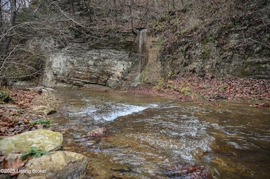 3095 Herbert Howell Rd, Hodgenville, KY 42748 - photo 3