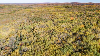 DJI_0117