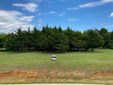 237 La Paloma Cir, Gordonville, TX 76245 - photo 5