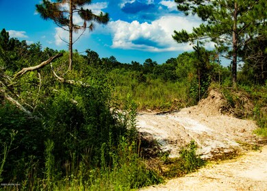 0 Spring Dr unit 1053118, Middleburg, FL 32068 - photo 4