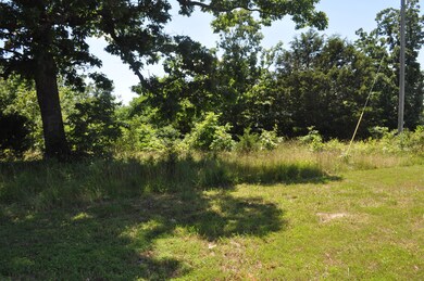 Tbd Farm Road 2085, Jenkins, MO 65605 - photo 7