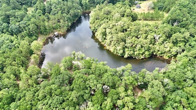 11375 Spring Lake Rd E, Chunchula, AL 36521 - photo 4