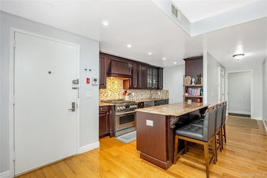 Millenium 99 unit 4F, Rego Park, NY 11374 - photo 5