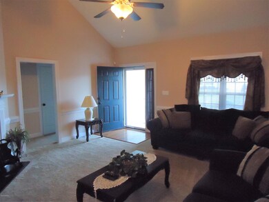 2905 Chellowe Ct, Winterville, NC 28590 - photo 4