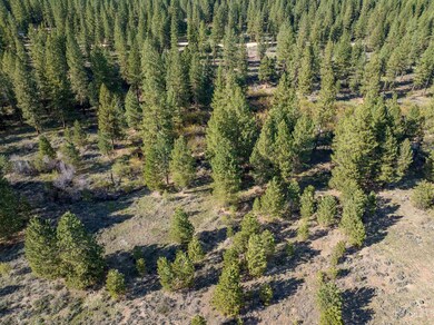 Lot 27 Trail Creek Ct, Placerville, ID 83666 - photo 2