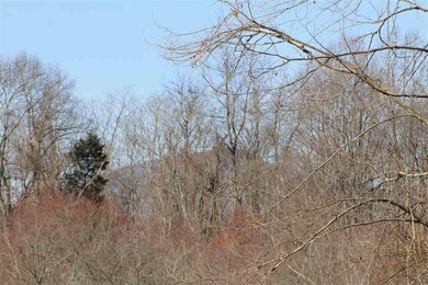 0 Slate Mills Rd unit 587359, Sperryville, VA 22740 - photo 3