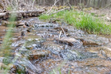 Stream