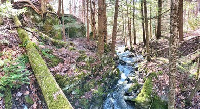 The brook divides the land roughly 60/40.