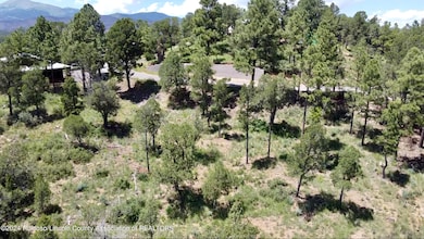732 Center St, Ruidoso, NM 88345 - photo 2