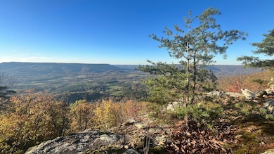 Photo Nov 16 2024, 4 36 10 PM