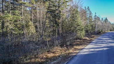 Ray's Point Road Land Aerials-13