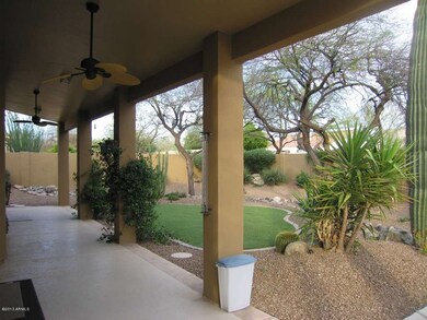 Patio & Yard