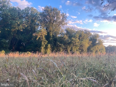 0 Dover Rd unit MDBC2012792, Glyndon, MD 21071 - photo 3