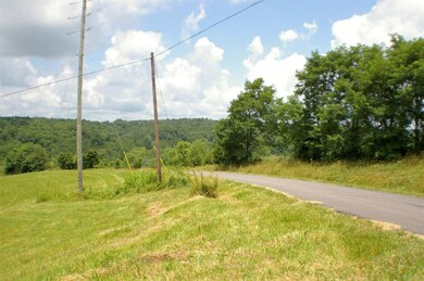 1 Alhambra Rd unit 3, Mount Olivet, KY 41064 - photo 2