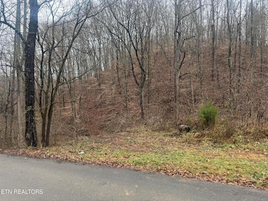 0 Mt Olive unit 1323665, Andersonville, TN 37705 - photo 3