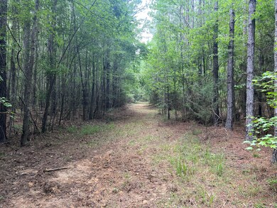 18121 Jordan Grove Road Exd, Dozier, AL 36028 - photo 4