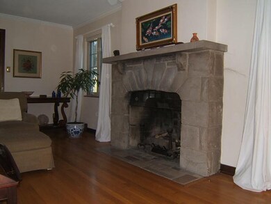 Other. fireplace