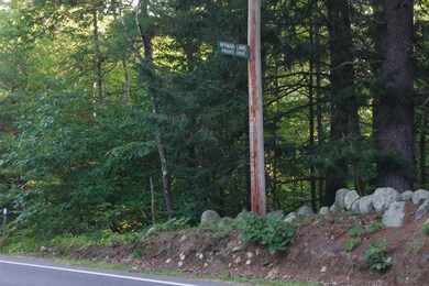 9 Wyman Ln unit 1, Strafford, NH 03884 - photo 7