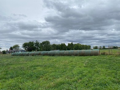 28954 S Yates Ave, Beecher, IL 60401 - photo 7