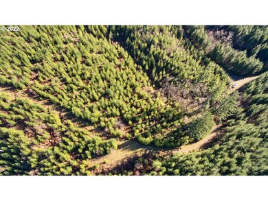 3 NE Jones Creek Rd, Camas, WA 98607 - photo 6