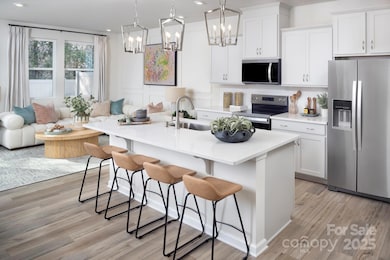 7509 Mallow Crossing Ln, Charlotte, NC 28213 - photo 5