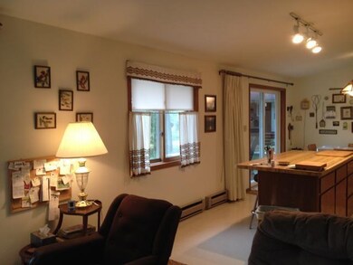 10655 Swamp Lake Rd, Tomahawk, WI 54487 - photo 3