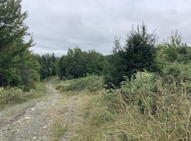 3 Abel Cyr Rd, Hamlin, ME 04785 - photo 3
