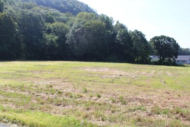 Lot B Mountain Rd, Deerfield, MA 01373 - photo 5