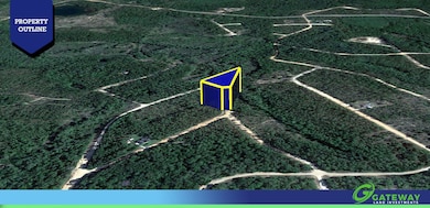 Orange Peel Dr, Marianna, FL 32448 - photo 4