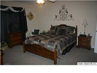 NICE SIZE MASTER BEDROOM ALONG WITH WALKIN CLOSET