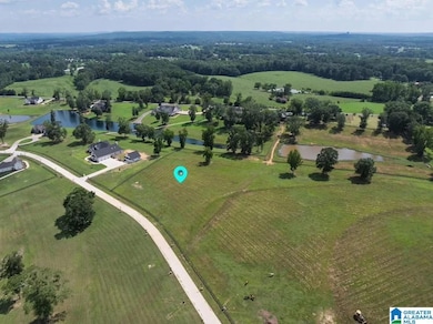 Lot 2 County Road 706, Cullman, AL 35055 - photo 5