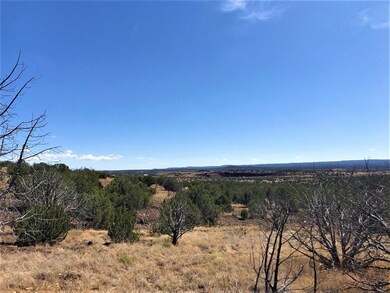 1200 W Warren Way, Ash Fork, AZ 86320 - photo 2