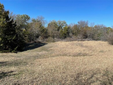 TBD Stribbling Ln, Gordonville, TX 76273 - photo 6