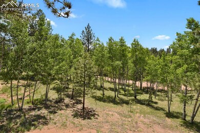 Back Yard of Home