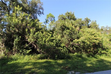 1149 Fleetwood Dr NW, Port Charlotte, FL 33948 - photo 5