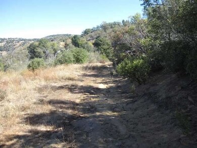 GRADED ROAD VOLCAN RANGE TO THE NORTHESAST IN BACK