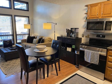 104 Deerfield Village, Davis, WV 26260 - photo 4