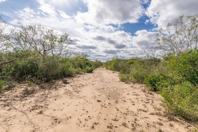 0 Tr 15 Unit 2 unit 20255365, Freer, TX 78357 - photo 4