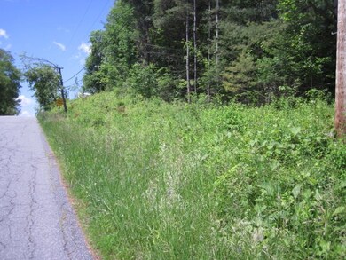 4 Vermont Ave unit 4, Hardwick, VT 05843 - photo 4