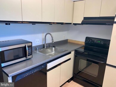 Lakeside Plaza Condominium unit 1118, Baileys Crossroads, VA 22041 - photo 3